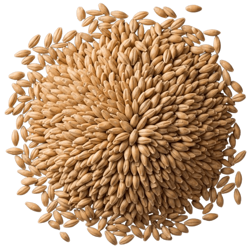 Product Soil Image